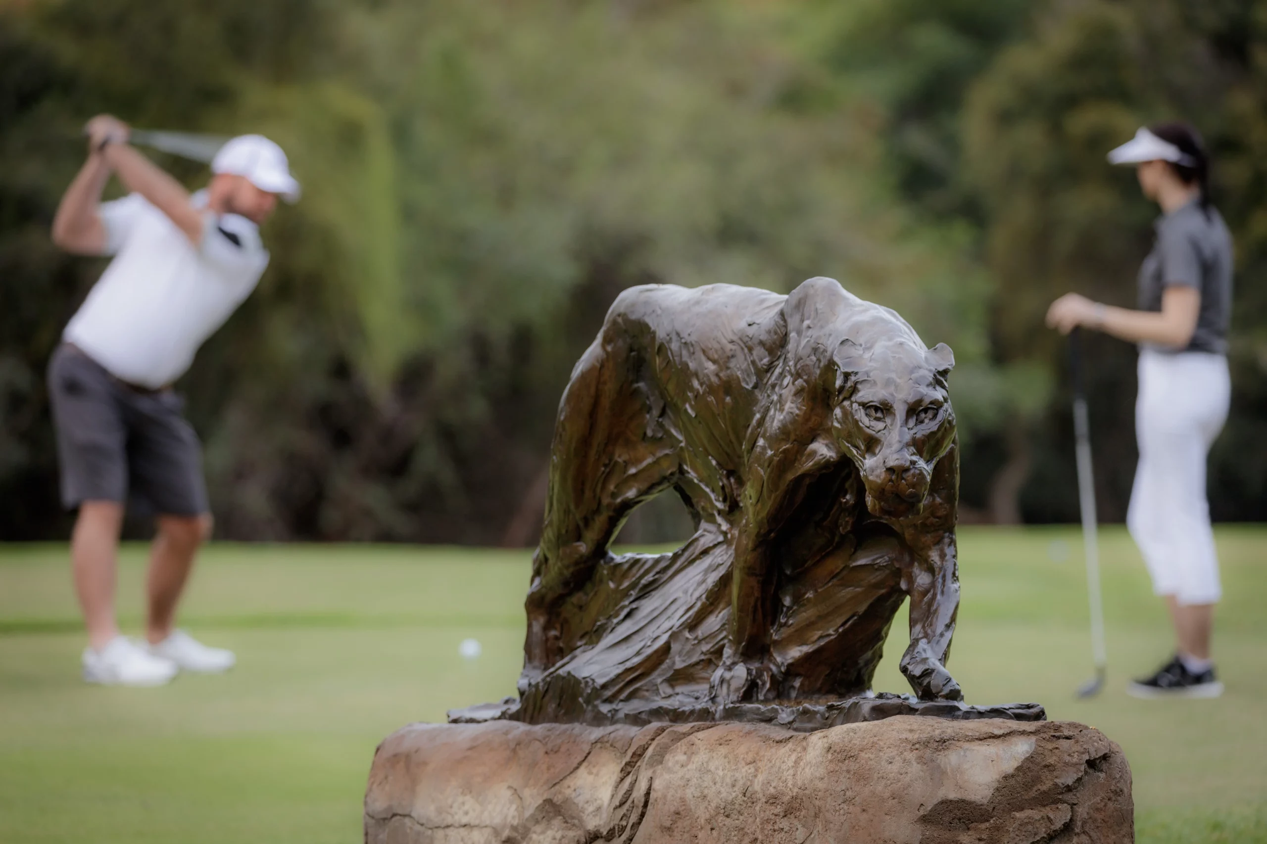 Leopard Creek